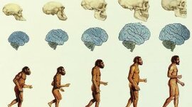 Timeline: Linea del tiempo Sociedad y Naturaleza