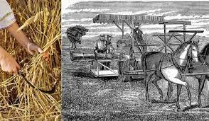 Revolución agrícola británica