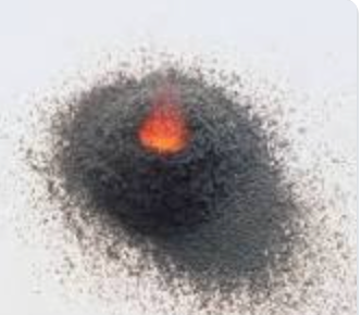 First use of gunpowder