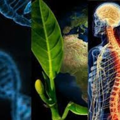 Timeline: Historia de la biología