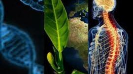 Timeline: Historia de la biología