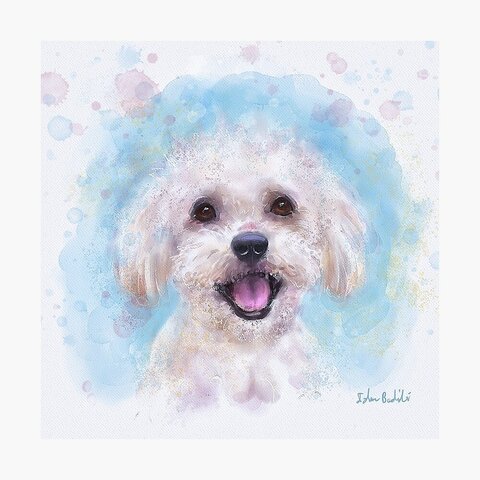 Llegada de nuevo integrante