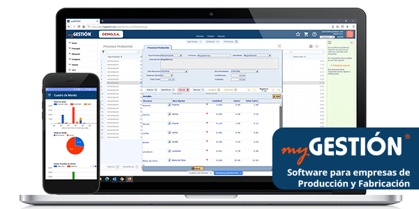 Comienzan a aparecer empresas de producción web.