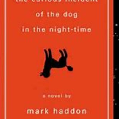 Timeline: The Curious Incident of the Dog in the Night-Time Timeline