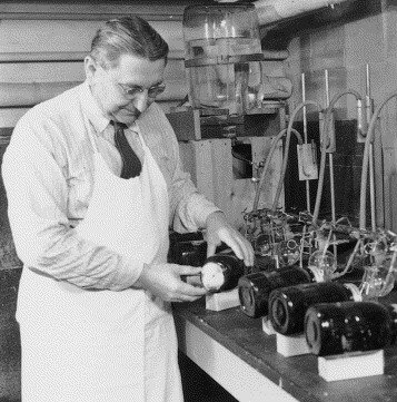 Ensayos de seguridad para la aprobación de productos  cosméticos