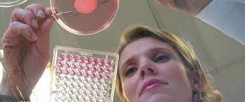 Centro de validación