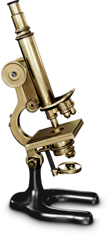 Microscope