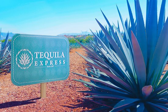 Tequila Express