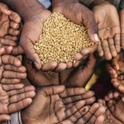 Timeline: World hunger