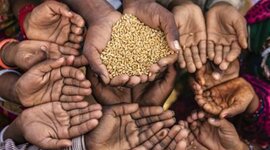 Timeline: World hunger