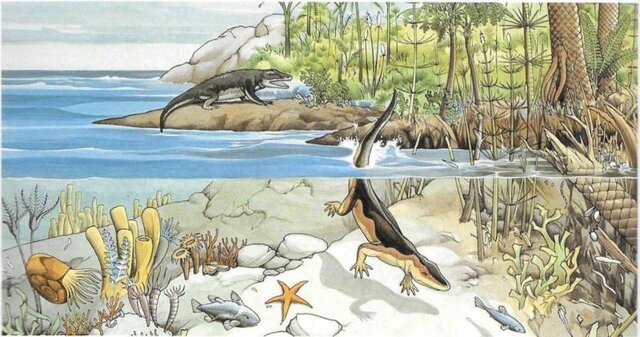 Primeres formes de vida