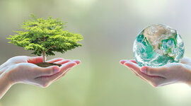 Timeline: Grandes hitos de la historia en Biología y Geología