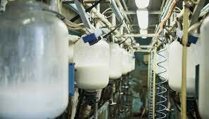Proceso de pasteurización
