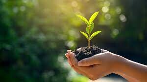 Aparición del término Ecología