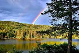 Definición del término Ecosistema