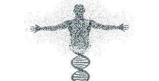 Proyecto genoma humano