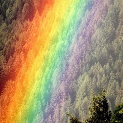 Timeline: Calidad de vida