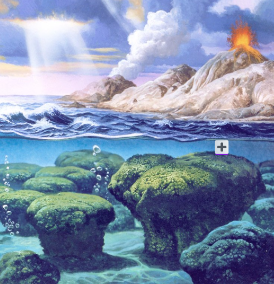 Cèl·lula procariota