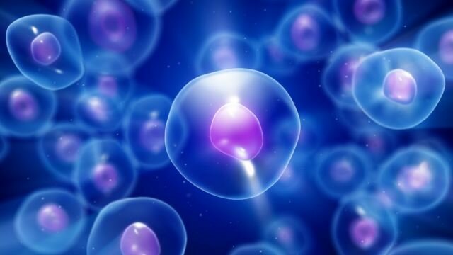 primera forma de vida