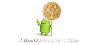 Macadamia Nut Cookie