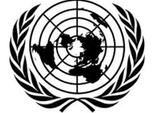 Servicio Administrativo Internacional