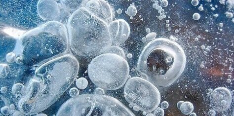 Primeres formes de vida