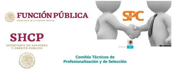 SERVICIO PROFESIONAL DE CARRERA