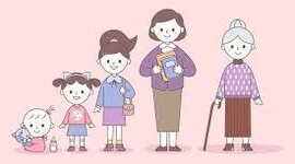 Timeline: Línea de vida