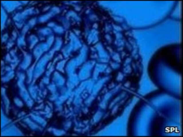 Tratamiento con células madre embrionarias