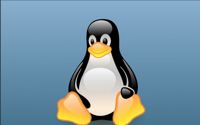 Sistema operativo 'Linux'
