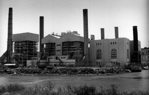 Along with many other activists, Maxwell was instrumental in the successful effort to close the Hunters Point power plant, one of the oldest and dirtiest in the state