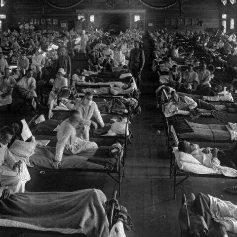Spanish Flu (-2) decline (health)