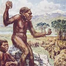 Los primeros homínidos abandonan los arboles