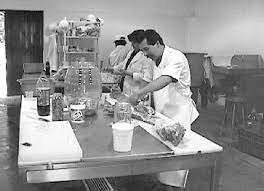 Áreas de especialización