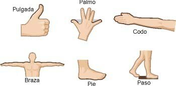 UNIDADES ANTROPOMÓRFICAS