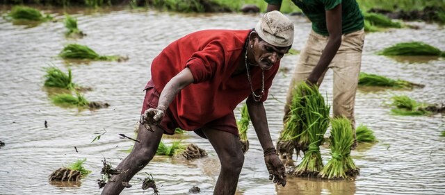 Se intenta combatir el rezago educativo de los adultos.