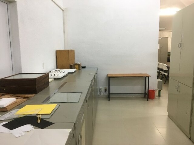 Asegurando colecciones