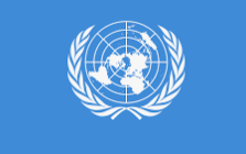 La Organización de Naciones Unidas