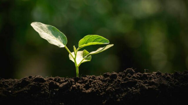 El inicio de la vida (Hace 4.000 millones de años)