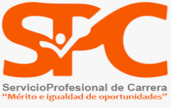 Servicio Profesional