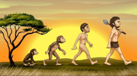 Timeline: LeticiaLira_LineadelTiempo Origen del hombre: Evolución