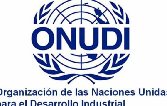 ORGANIZACIÓN DE LAS NACIONES UNIDAS PARA EL DESARROLLO INDUSTRIAL (ONUDI)
