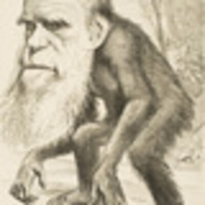 Timeline: EL ORIGEN DEL HOMBRE: SU EVOLUCIÓN