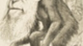 Timeline: EL ORIGEN DEL HOMBRE: SU EVOLUCIÓN