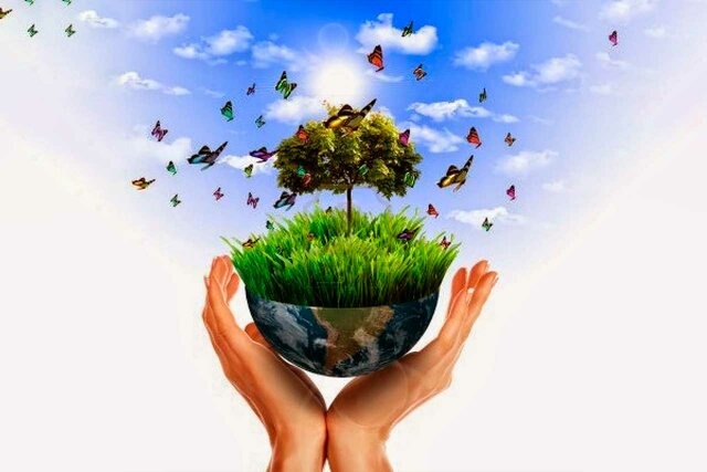 neixa i medio ambiente