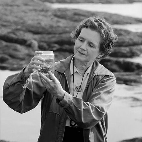 Rachel carson