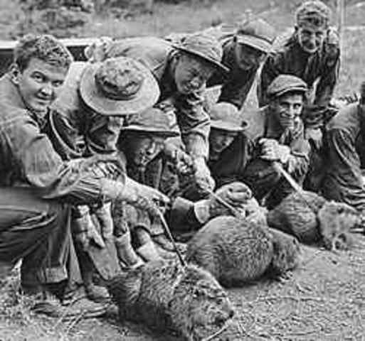 Civilian Conservation Corps.