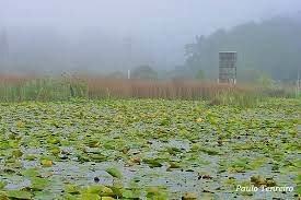 Mapa Paul da Madriz-1999