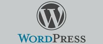 ¿Cuál fue el inicio de WordPress?