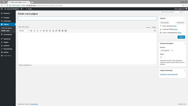 Que es una página de WordPress